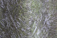 Glenternie fibreglass roof work